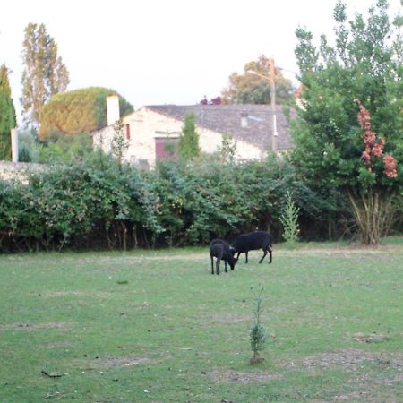 Le Clos Du Gorion Hotel Saint-Sulpice-et-Cameyrac Luaran gambar