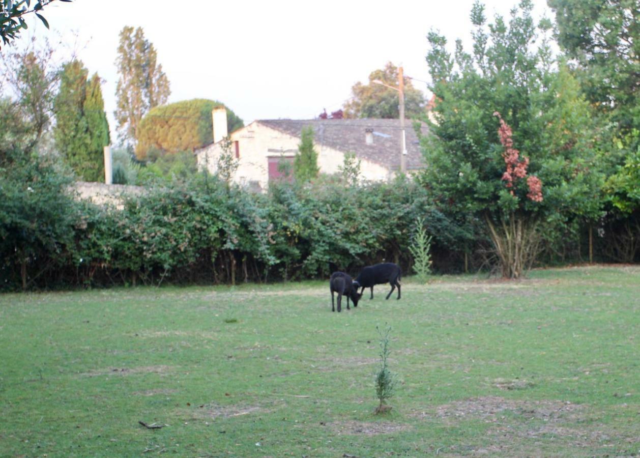 Le Clos Du Gorion Hotel Saint-Sulpice-et-Cameyrac Luaran gambar