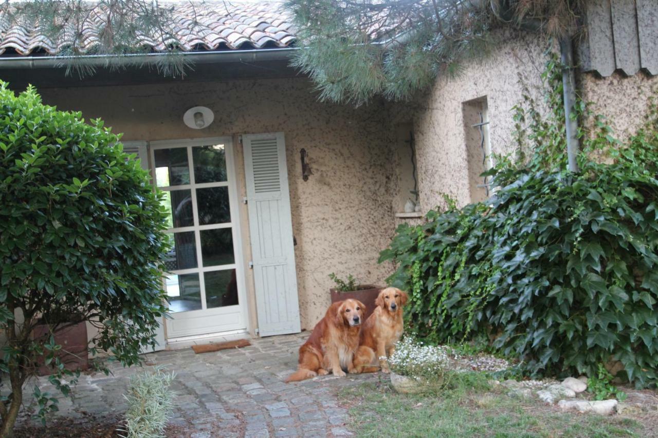 Le Clos Du Gorion Hotel Saint-Sulpice-et-Cameyrac Luaran gambar